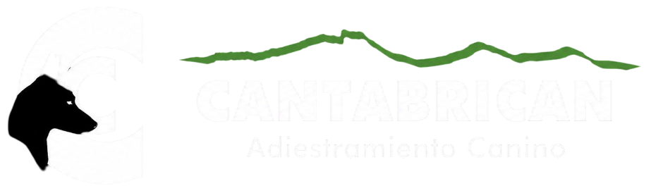 Cantabrican Logo